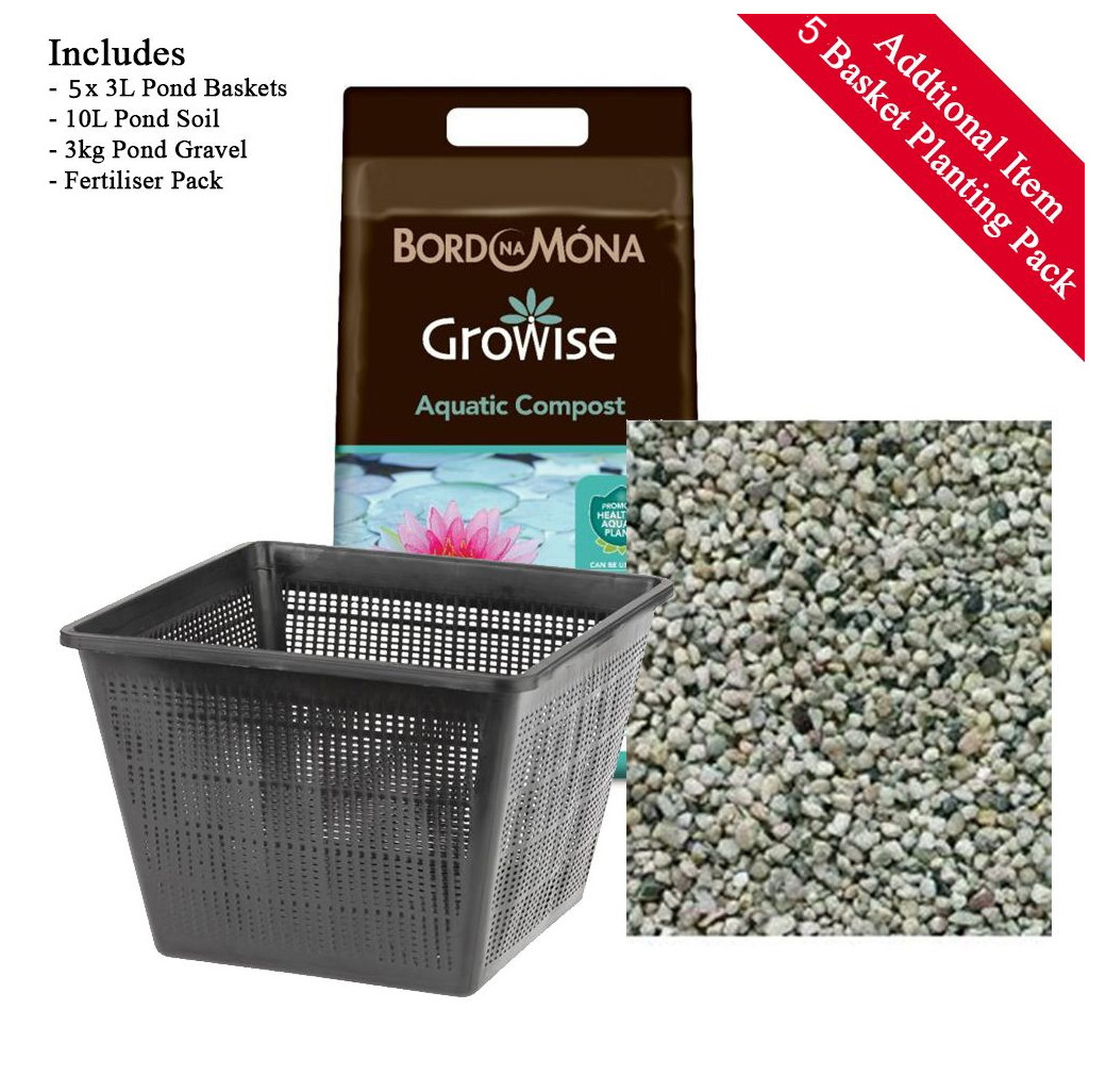 Pond Plant Pack - Filter Feeding (Pack of 5 Plug Plants)