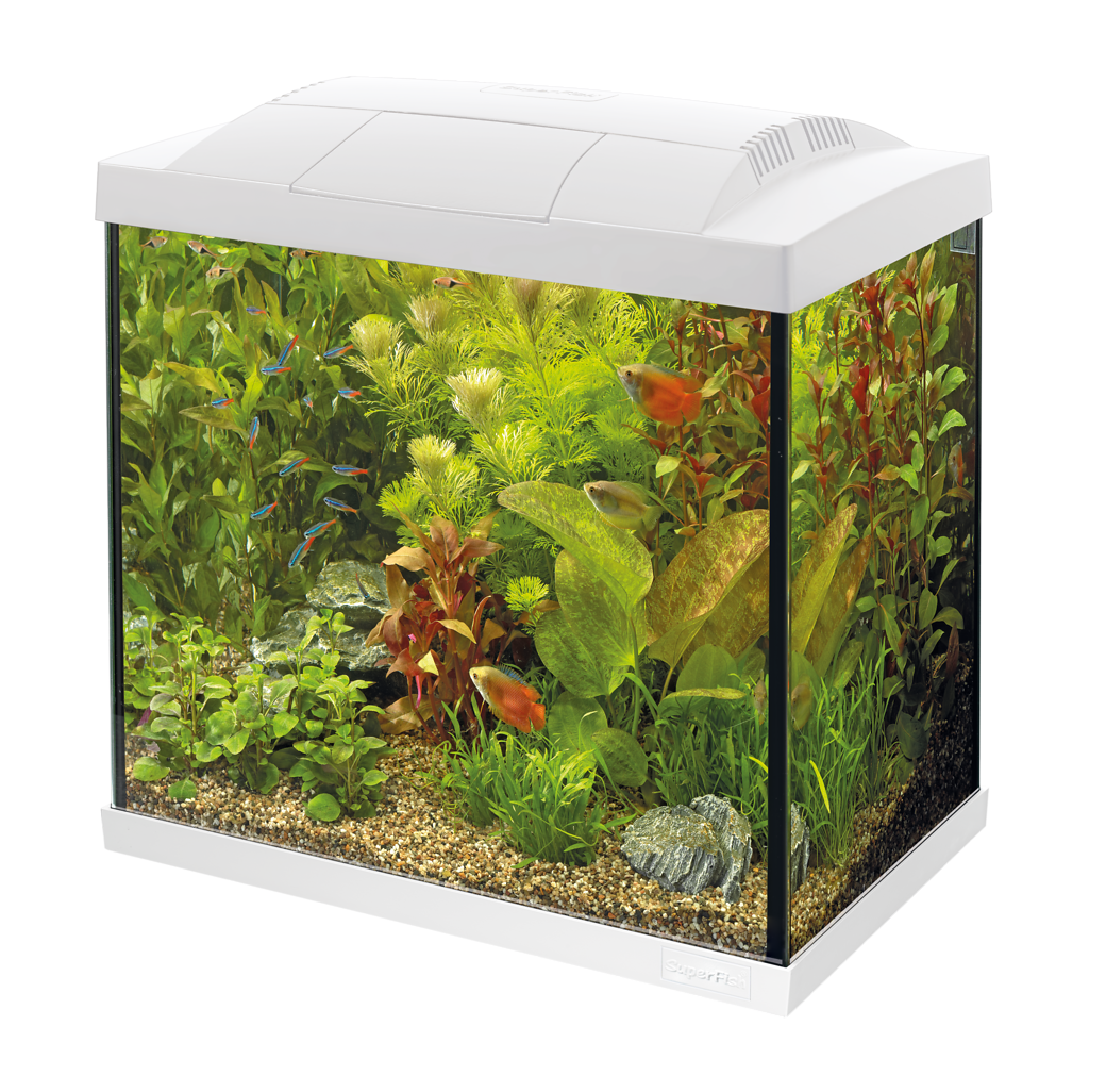 Superfish Start 30 Tropical Aquarium - White