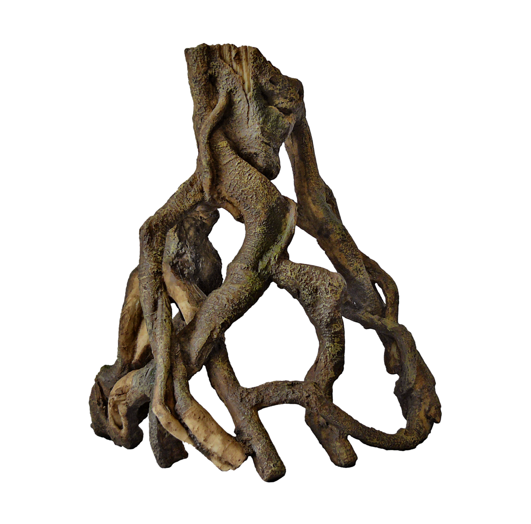 Superfish - Mangrove Root
