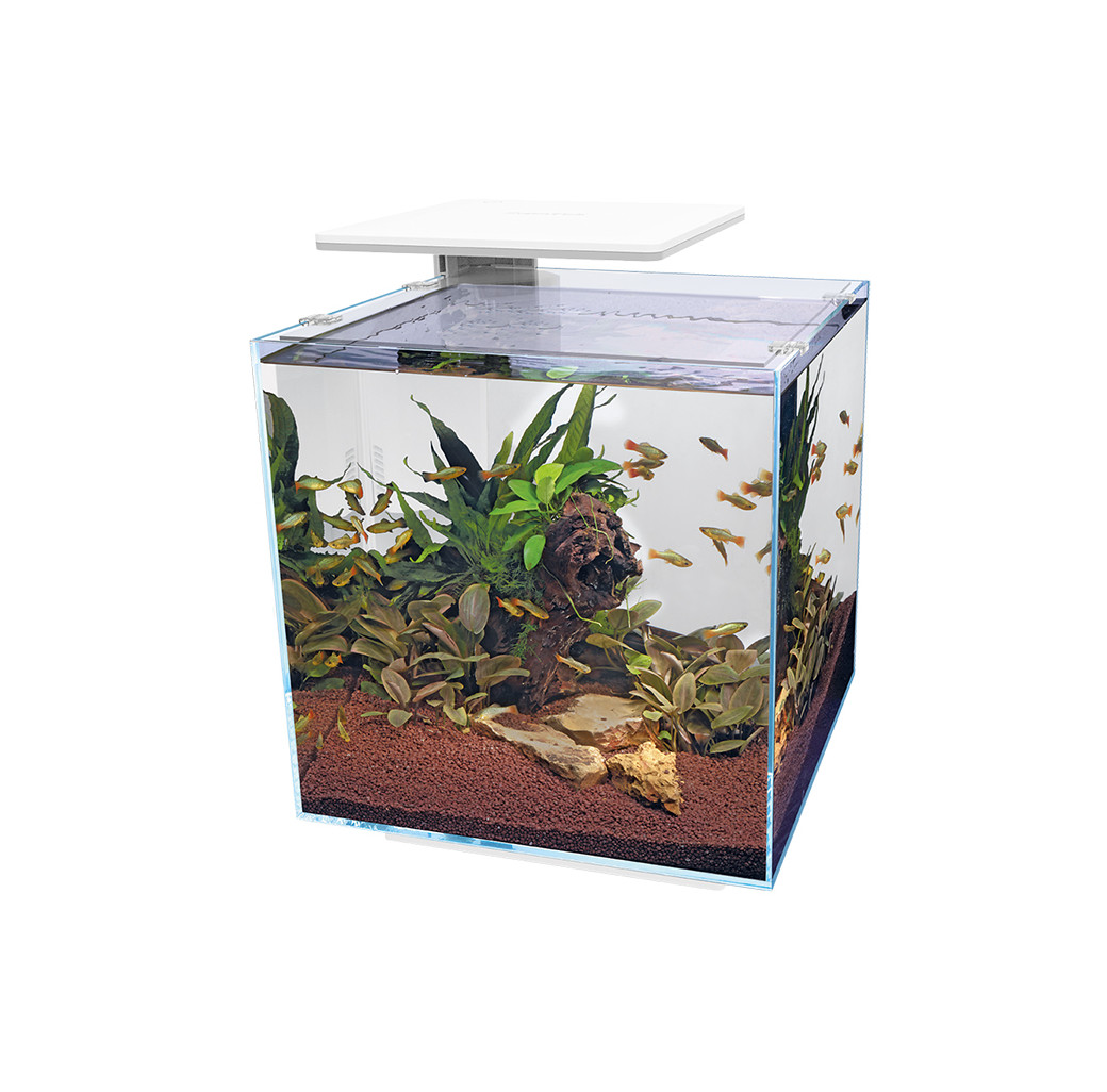 Superfish Qubiq Pro 60 LED Aquarium - White