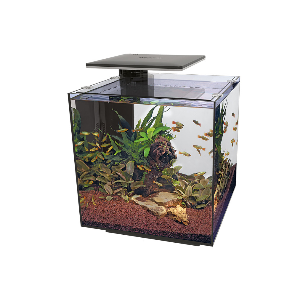 Superfish Qubiq Pro 60 LED Aquarium - Black