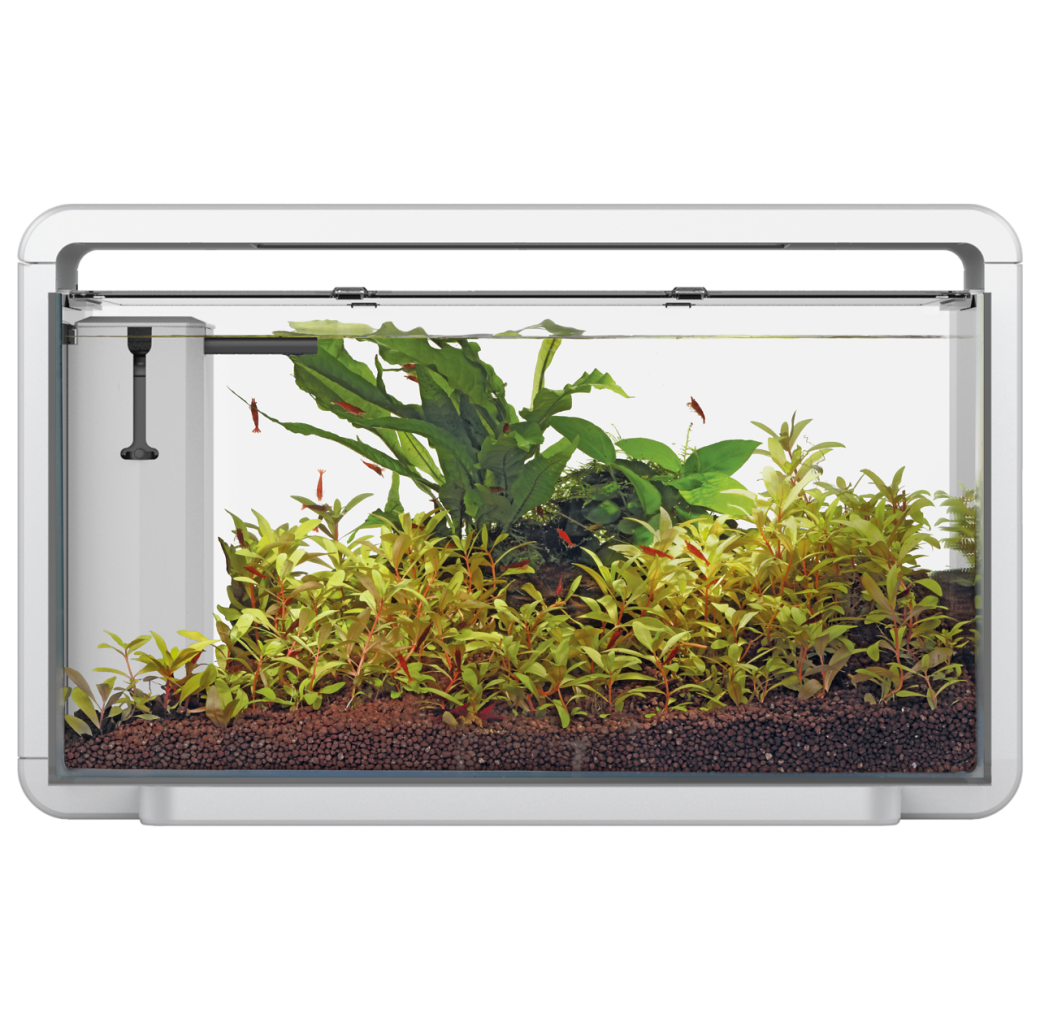 Superfish Home 30 LED Aquarium - White 