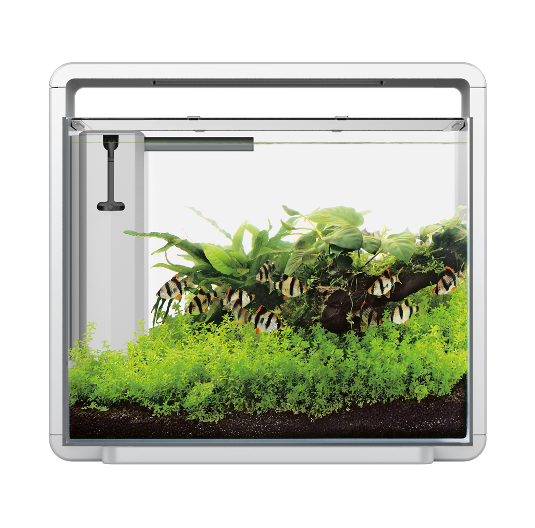 Superfish Home 45 Aquarium - White