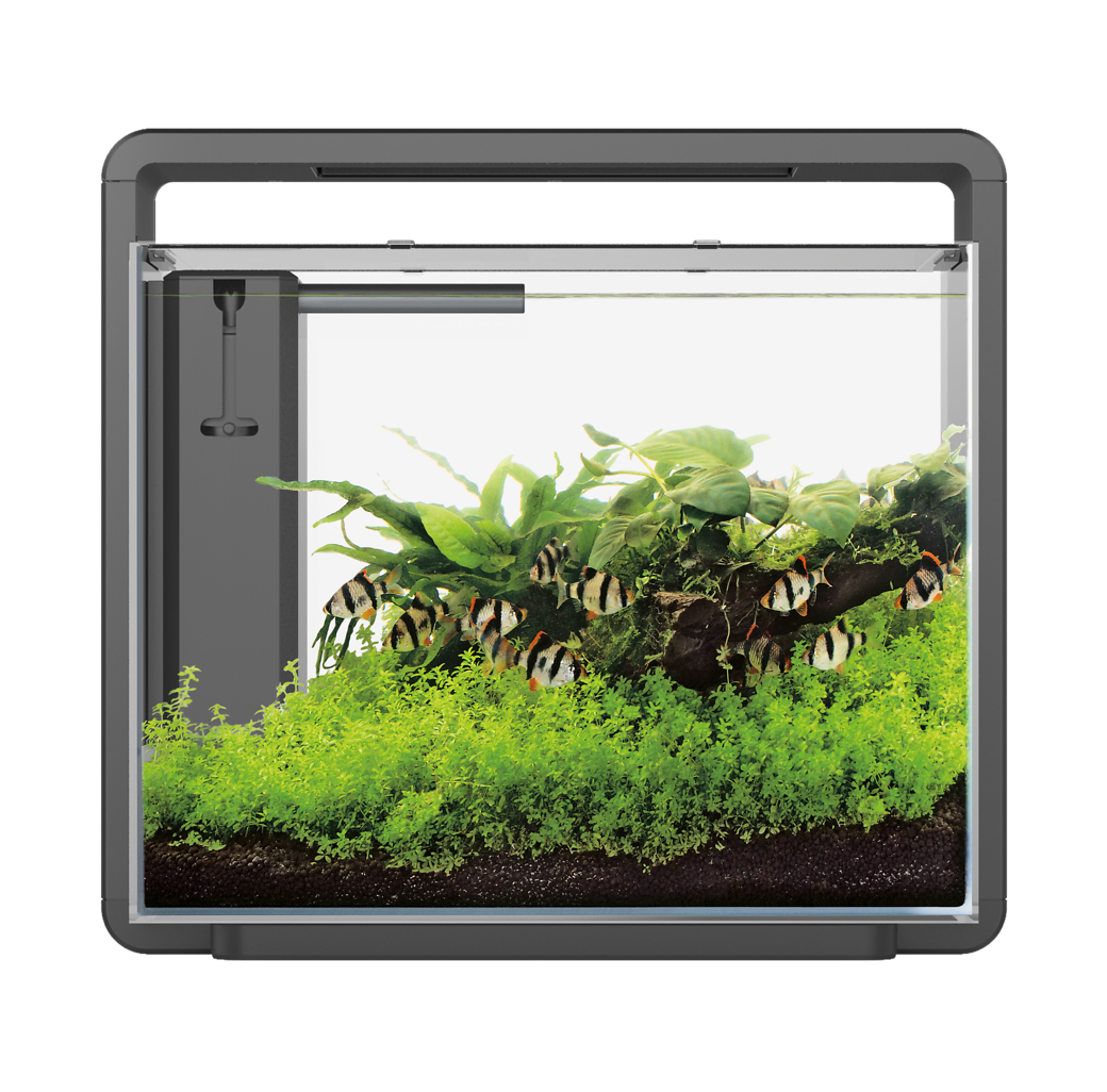 Superfish Home 45 Aquarium - Black