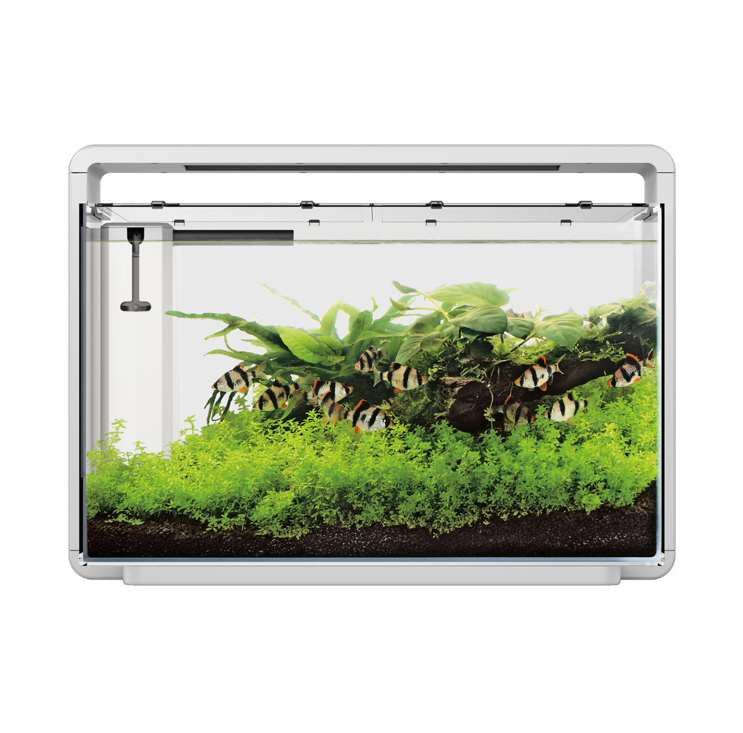Superfish Home 65 Aquarium - White