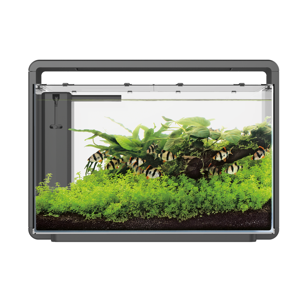 Superfish Home 65 Aquarium - Black
