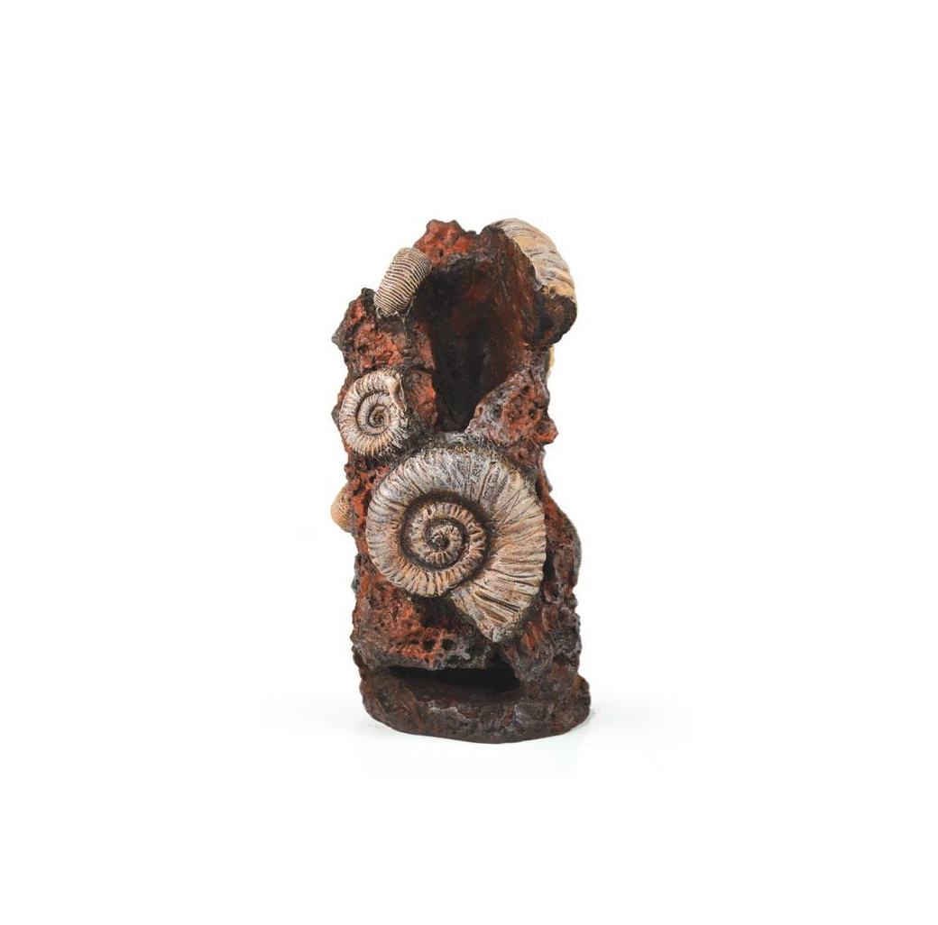 BiOrb Ornament - Ancient Conch (Medium)