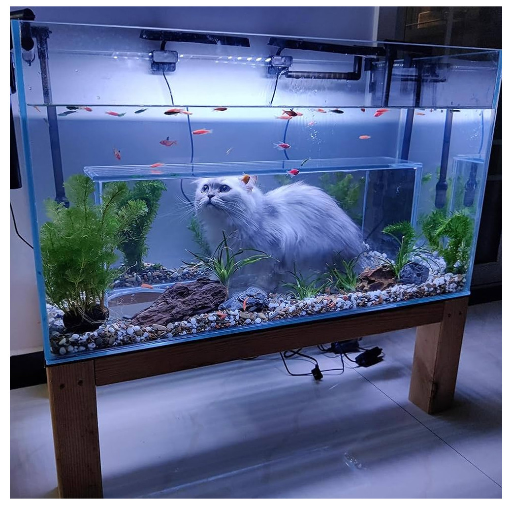 Test simple fish