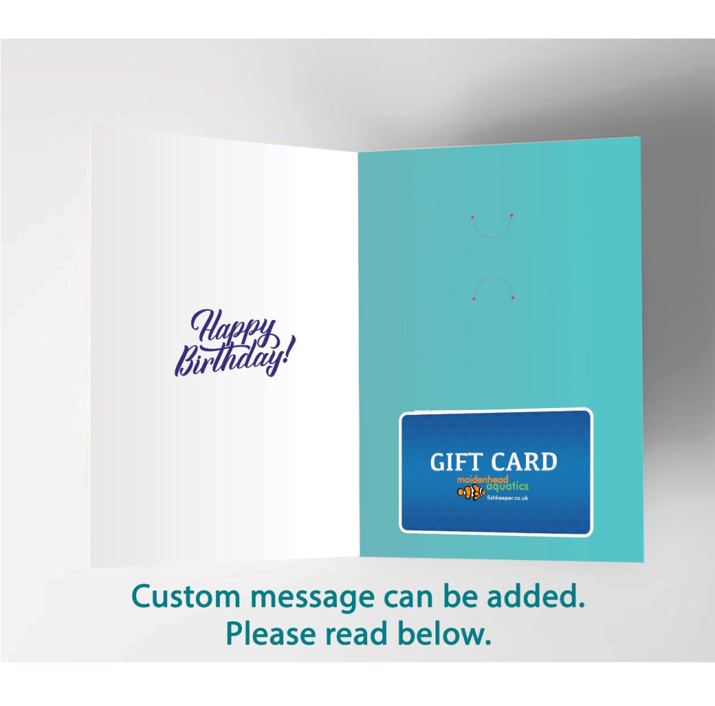 Gift Card with Birthday Themed Card
