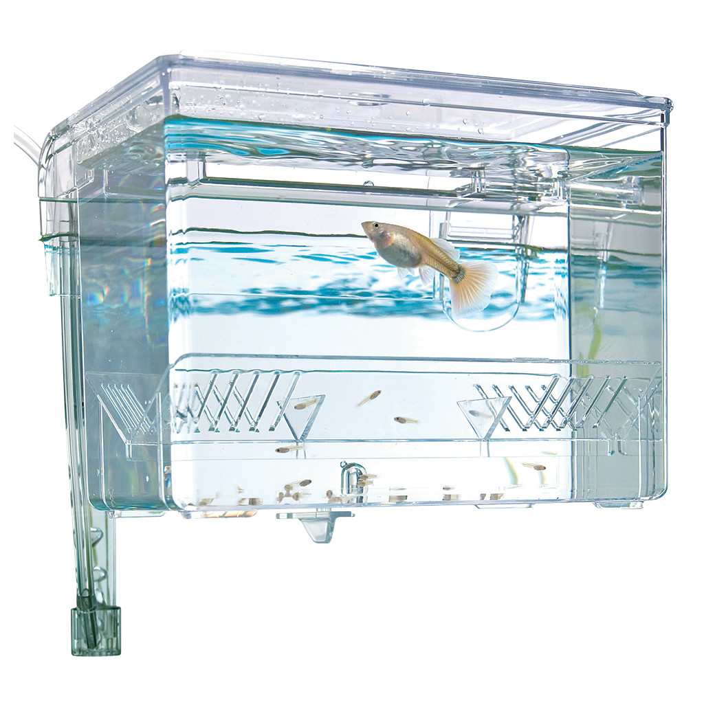 Fluval Hang On Breeding Box