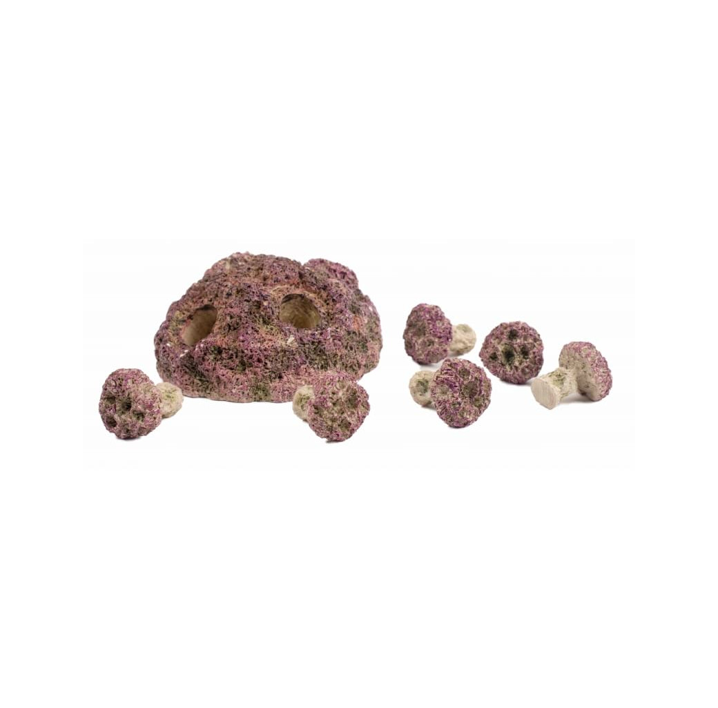 TMC Coral Frag Plug Rock