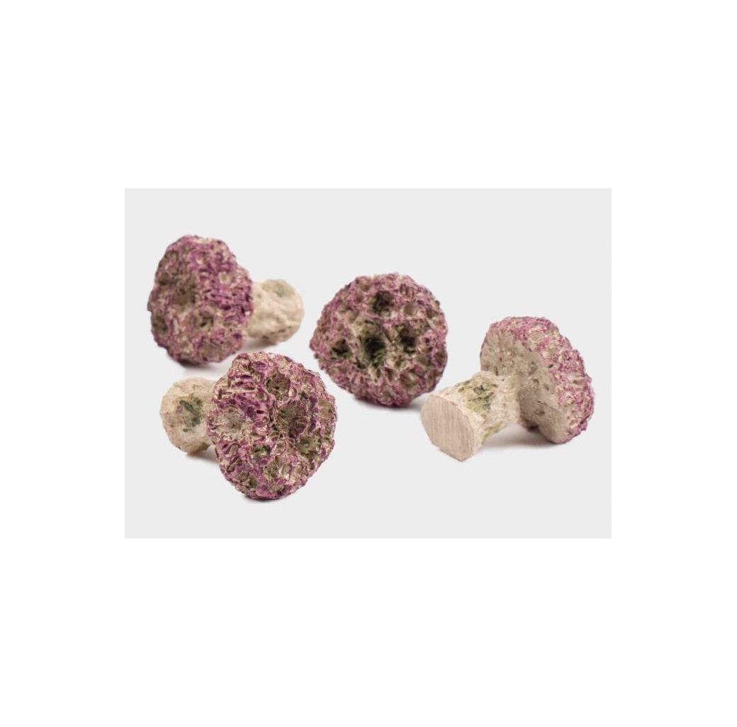 TMC Coral Frag Plugs  - Standard x10