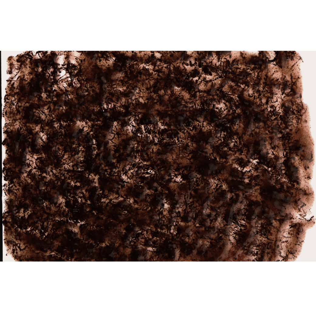 Tetra FreshDelica Bloodworms (16 x 3g)