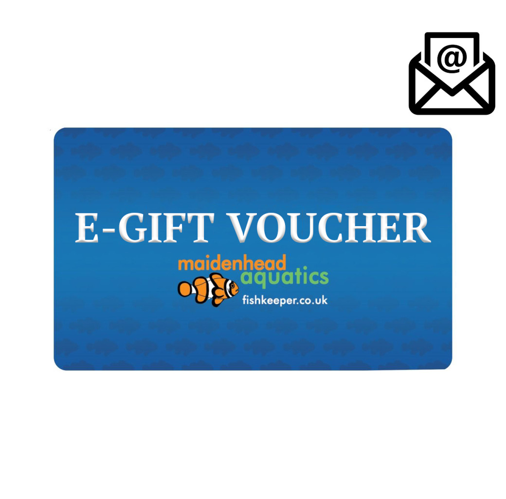 Birthday - Email Gift Voucher