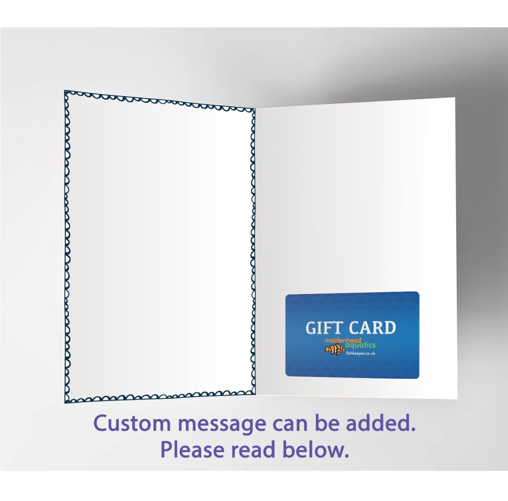  Gift Card with Congratulations Themed Card