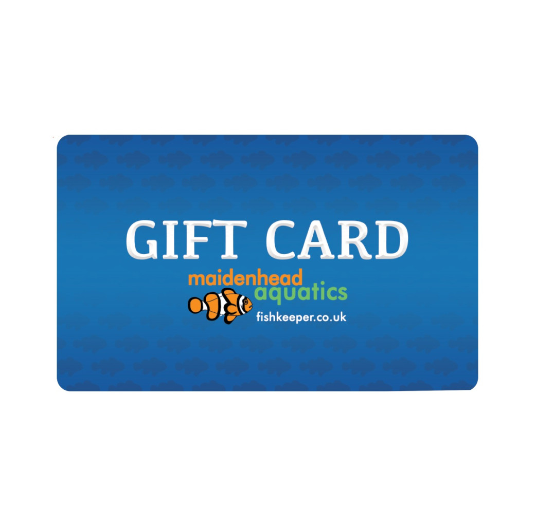  Gift Card with Congratulations Themed Card
