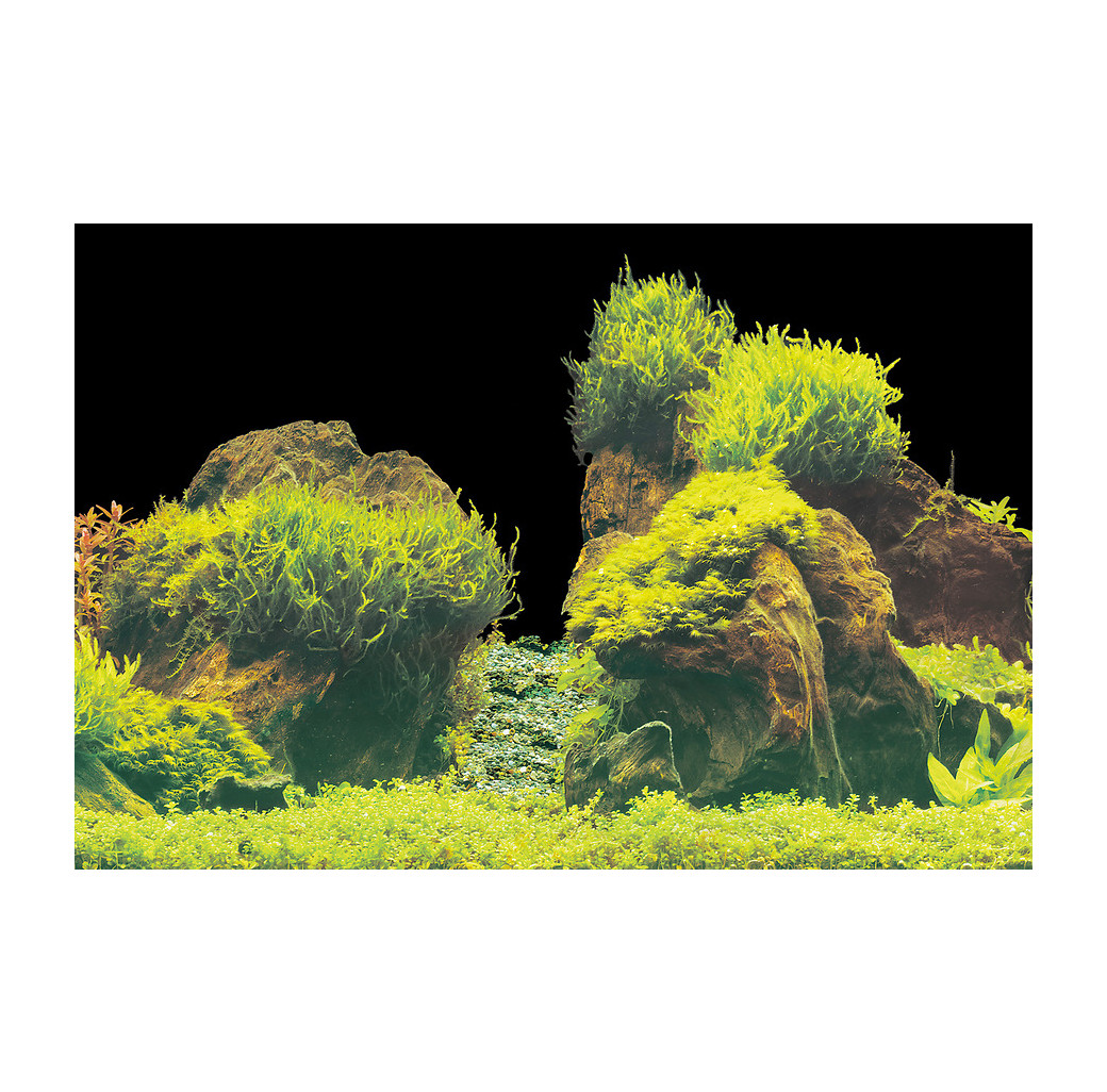 Superfish 2 Sided Aquarium Background E - White & Moss Aquascape