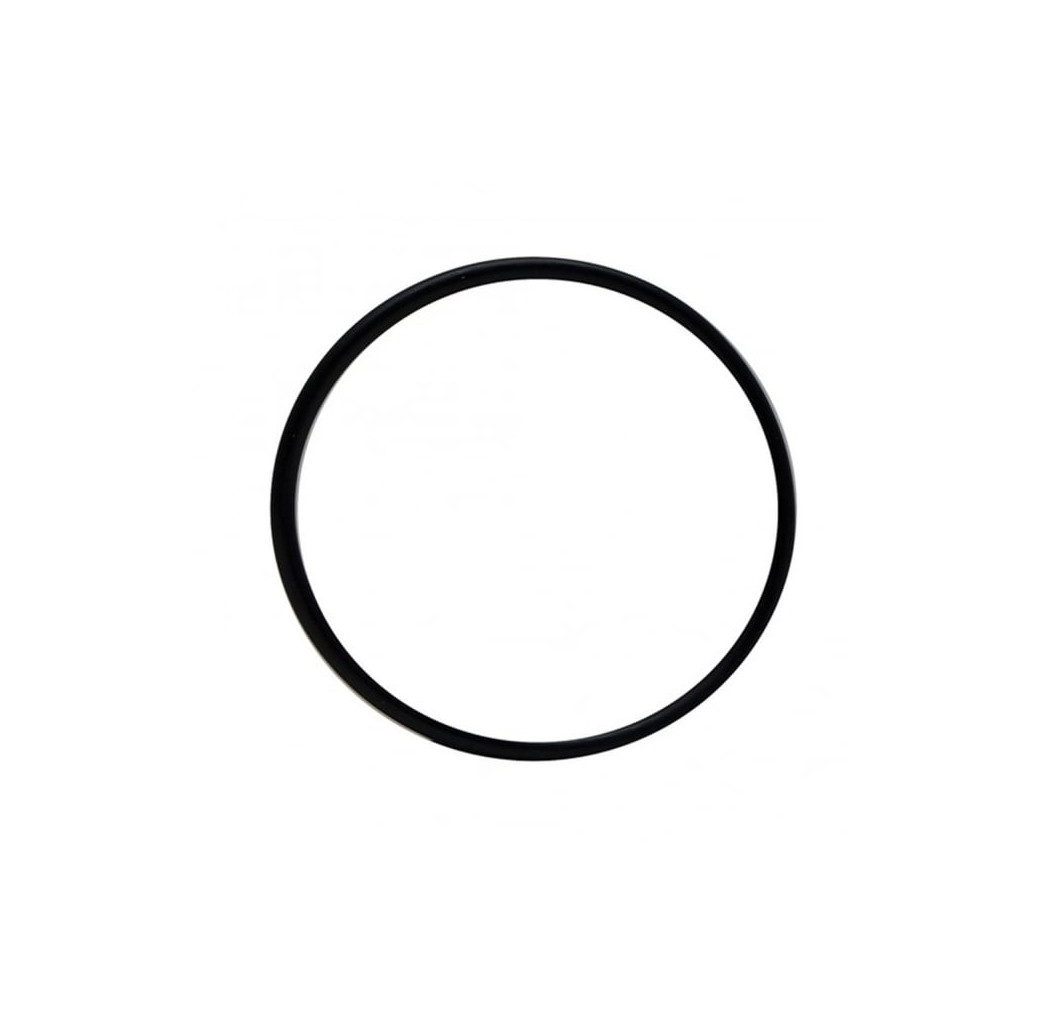 Laguna Pressure-Flo UVC Head O-Ring (PT1530)