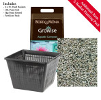 Pond Plant Pack - Filter Feeding (Pack of 5 Plug Plants)