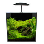 Aquamanta Nano 35 LED Aquarium