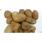 Aqua-Substrate Polished Pebbles - Amber