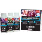 Red Sea Foundation Supplements Complete Pack
