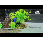 Ocean Free Hydra Nano Plus Internal Filter