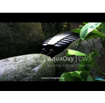Oase FiltoMatic CWS Pond Filter