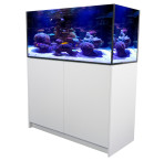 Aqua Marin Pro 1200 Aquarium, Sump & Cabinet - White