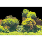 Superfish 2 Sided Aquarium Background E - White & Moss Aquascape