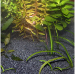JBL Sansibar DARK Substrate