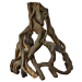 Superfish - Mangrove Root