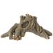 Superfish - Tree Root