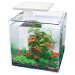 Superfish Qubiq Pro 30 LED Aquarium - White