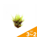 Classic Plastic Aquarium Plant (X-Small) - Brown Moss
