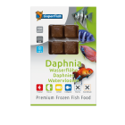 SuperFish Frozen Daphnia (100g)