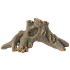 Superfish - Tree Root