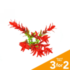 Classic Plastic Aquarium Plant (Medium) - Red Leaf