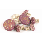 TMC Coral Frag Plugs  - Mix of 20