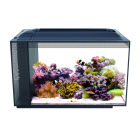 sea evo glass aquarium with clownfish and decor