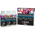 Red Sea Foundation Supplements Complete Pack