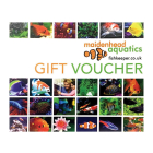 Gift Card Simple Voucher Sleeve