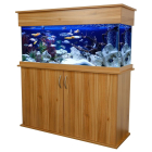 SeaBray Elite 48" x 15" x 20” Aquarium & Cabinet - Tiepolo