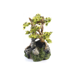 Bonsai on Rocks, aquarium ornaments.
