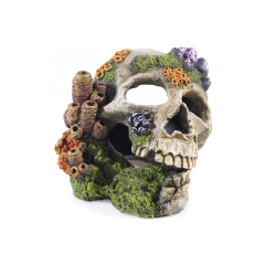 Classic, flower skull. Aquarium Ornament.