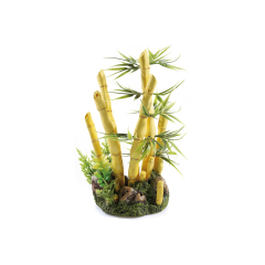 Bamboo, aquarium ornament.