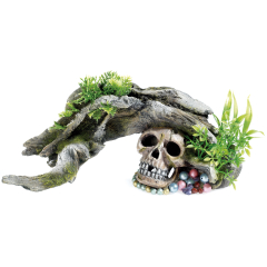 Wood and skull aquarium ornaments.