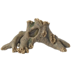 Superfish - Tree Root