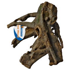 Superfish - Standing Root