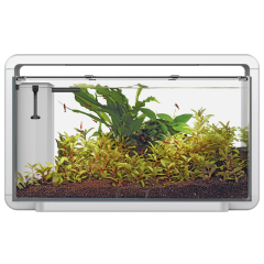 Superfish Home 30 LED Aquarium - White 